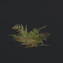 "Game-ready Small Fern b1 with PBR textures for Blender 3D. Perfect for adding realistic foliage to your 3D forest scenes. Low-poly with high-quality detailing and textures."