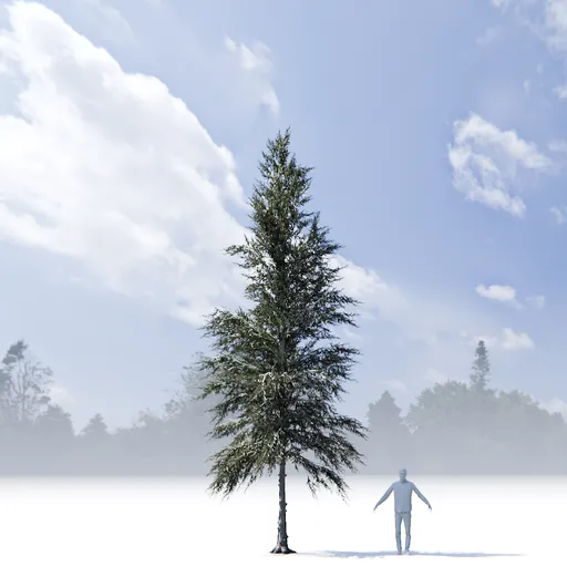 Pine tree variation