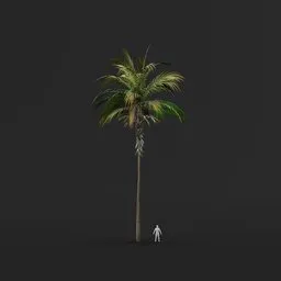 Palm Tree (Summer) - Tall Thin Straight