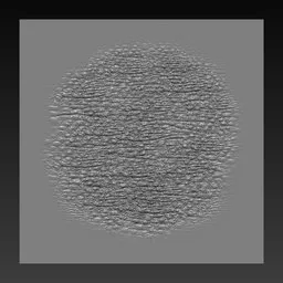 NS Reptile skin flesh leathery