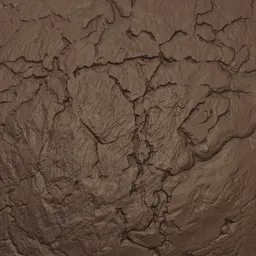 Cracks Rock Rugged Brush