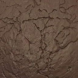 Cracks Rock Rugged Brush