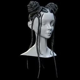 Braided Hair