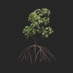 Mangrove Plant + Geometry Nodes + animation