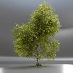 Tree Jungle Animated