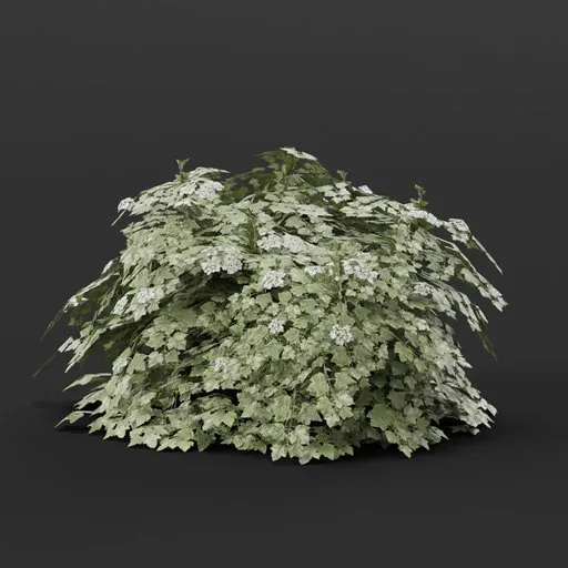 Detailed 3D cranberry bush model, ideal for Blender rendering, enhancing gardens and outdoor scenes.