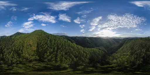 Hill Sunshine