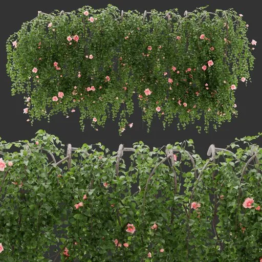 Wall Hanging Plant