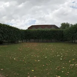 Quadrangle Cloudy