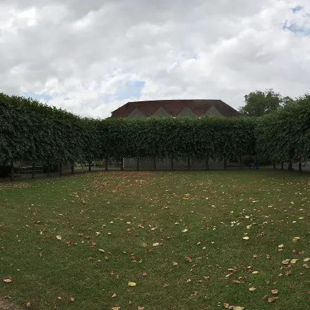 Quadrangle Cloudy