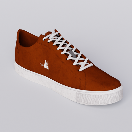Brown Leather Shoe