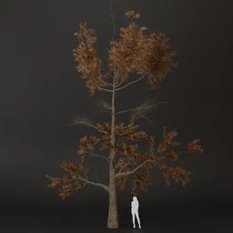 SJ-Autumn Rest Pine Tree