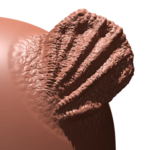 Blender 3D sculpting brush creating detailed gill fin textures for dinosaur or creature modeling.
