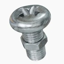screw (bolt)