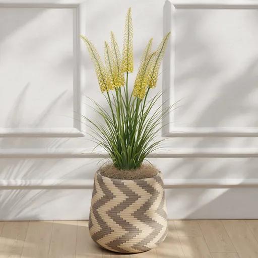 Yellow Flowering