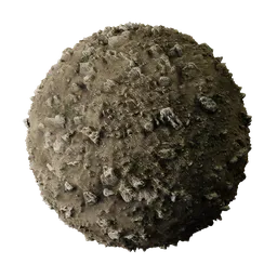 Dry muddy soil with stones