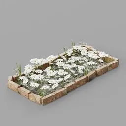 White Daisy Garden Bed