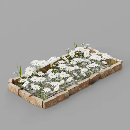 White Daisy Garden Bed