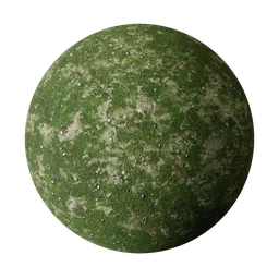 Dense Green grass