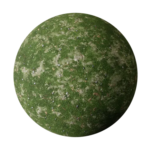 Dense Green grass