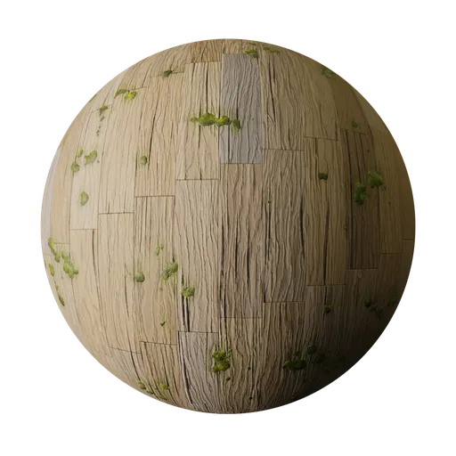 Bark with Moss