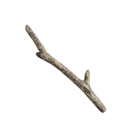 Debris and twigs