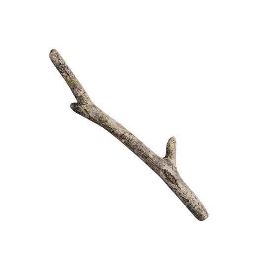 Debris and twigs
