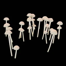 Mushrooms