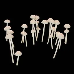 Mushrooms