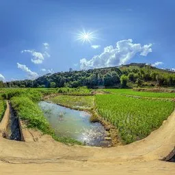 Small ditch on a sunny afternoon