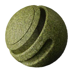 Grass
