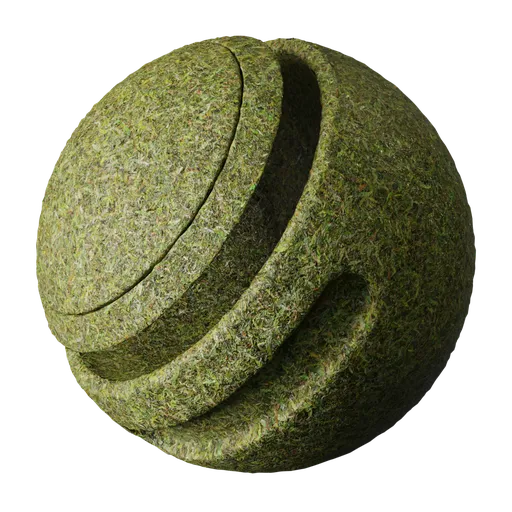 Grass