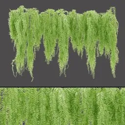 Hanging Foliage