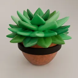 Small Clay Pot with Succulent