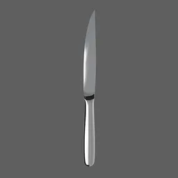 Steak Knife