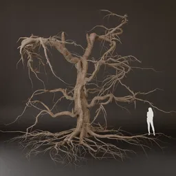 SJ-Broken Tree Without Leaves
