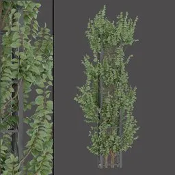 Climbing Vine Tower