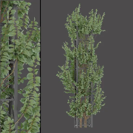 Climbing Vine Tower