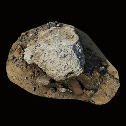 Scan Litter Old rock