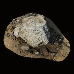 Scan Litter Old rock