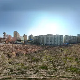 Dry grass clouds bluesky