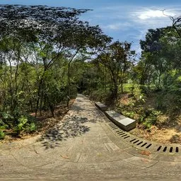 Stone brick trail during the day