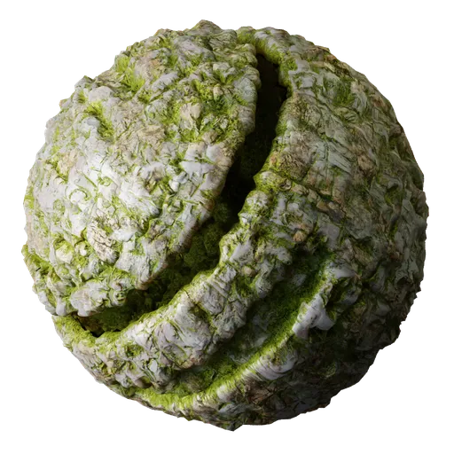 Beach Quartz Rock Seaweed