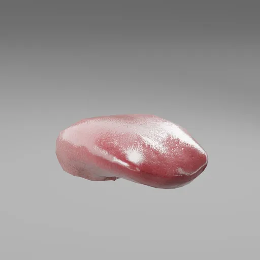 Tongue
