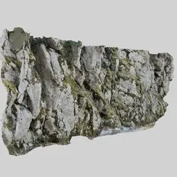 Forest cliff