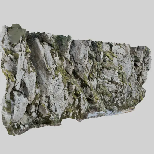 Forest cliff