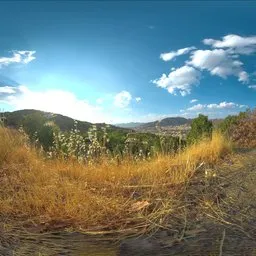 Hillside Dry Grass Sunset