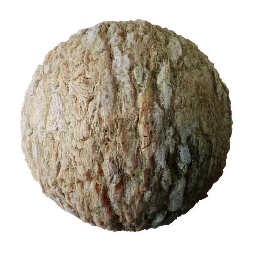 2K PBR Tree Bark texture for Blender 3D with detailed displacement for realistic wood surfaces.