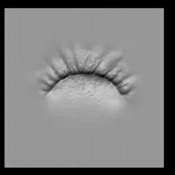 NS Sea Creature gill