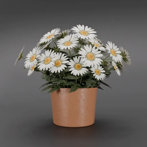 Realistic 3D model of Shasta Daisy flowers in terra cotta pot for Blender rendering, perfect for interior nature scenes.